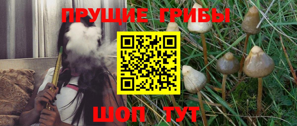 Галлюциногенные грибы MAGIC MUSHROOMS  Вход с VPN  Щёлково 